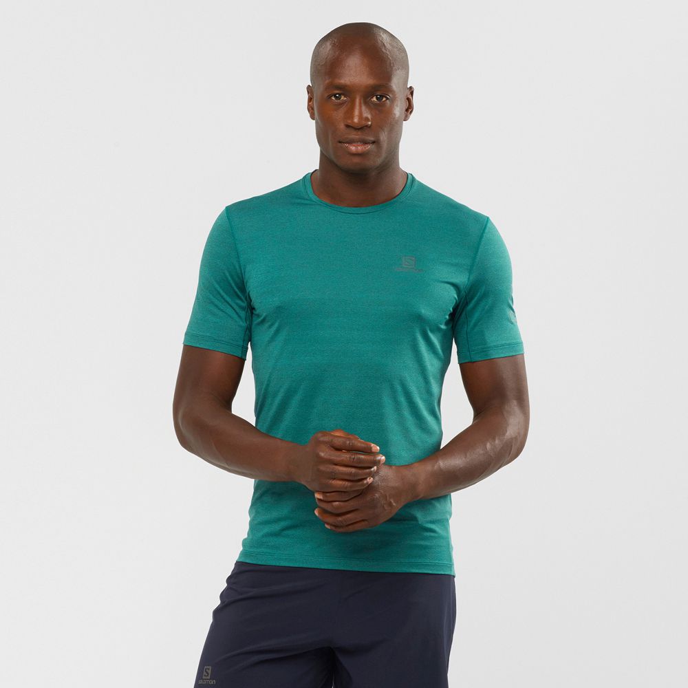 Camisetas Salomon Hombre Verde - Salomon Argentina OUTLINE,516903-IEL